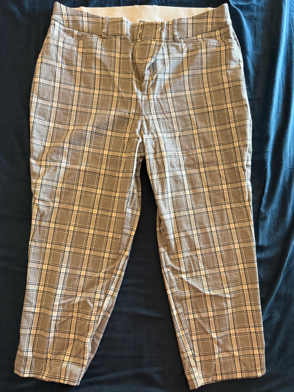 Ava & Viv Tapered Leg Pants in Plaid